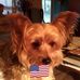 Shelia Webb - Facebook