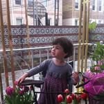 Shella Abadi - @abadishella - Instagram