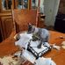 Shelley Benson - Facebook