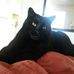 Shelley Benson - Facebook