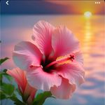 Shelly Bingham - @shellbingo - Instagram