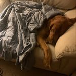 Shelley Bishop - @shelleybishop66 - Instagram