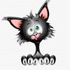 Shelley Black - @sunny_bunz - TikTok