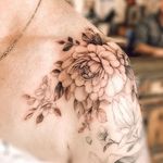Shelley Black - Fine Line - @shell_blacktattoo - Instagram