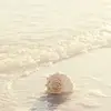 Shelly..bliss🐚 - @shelly...bliss - TikTok