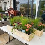 Shelley Bray 🌸🍃🌺🌿 - @gardens_for_florriejude - Instagram