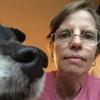 shelleybrillkurtz - @shelleybrillkurtz - TikTok