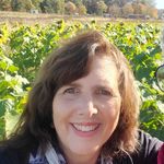 Shelley Burch - @mtnwmn777 - Instagram