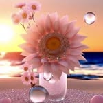 Shelley Carmichael - @shelley.carmichael.75 - Instagram
