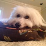 Shelley Carmichael Mcclary - @shelley_c_mcclary - Instagram