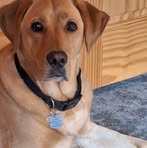 Shelly Cramer - Facebook