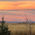 Shelley Davidson - @shelleypdavidson - Instagram