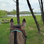 Shelley Deckard-Sears - @shelleydeck000 - Instagram