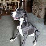Shelly Deckard - @psisley_jane - Instagram