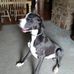 Shelly Deckard - Facebook