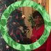 Shelley Dorman - Facebook
