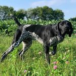 Shelley Edmonds - @mushugsp - Instagram