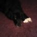 Shelley Egan - Facebook