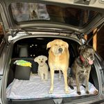 Shelley Ewing - @sewing886 - Instagram