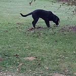 Shelley Ferris - @shelley.ferris.338 - Instagram