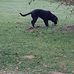 Shelley Ferris - Facebook