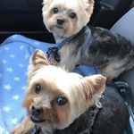 Shelley Ferris Rhoades - @srhoades7 - Instagram