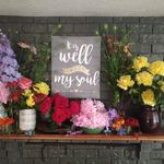 Shelley Hadfield - @shelleyannferris - Instagram