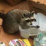 Shelley Grubb - @grubb2638 - Instagram