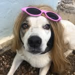 Shelley Hardman - @salserashell - Instagram
