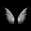 Shelly Hendricks - @shelly.hendricks6 - TikTok