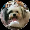 Shelly Hull - @shellycoxhull - TikTok