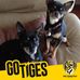 Shelley Ingram - Facebook