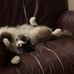 Shelley Ingram - Facebook