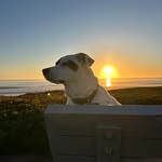 Shelley Jacobs Draper - @shelleyb73_ - Instagram