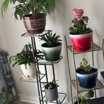 Shelley Keyes - @shel_l1056 - Instagram