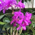 Shelley Keyes Kim - @shelleyelizabeth5 - Instagram