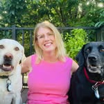 Shelley Lyon - @shelleykeystone - Instagram