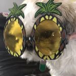 Shelly Knowles - @shellyknowles1971 - Instagram