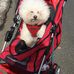 Shelley Levy - Facebook