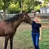 Shelley Lowe4301 - @shelleylowe4301 - TikTok