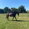Shelley Lyons - @shelley.lyons - TikTok