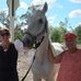 Shelley Manning - Facebook