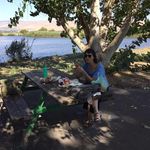 Shelley Marcus - @shelleymarcus950 - Instagram