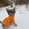 Shelly Mcdaniel - @shelly.mcdaniel1 - TikTok