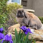 Tracy Shelley McGee - @tracyshelleymcgee - Instagram