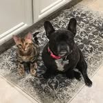 Shelley McRae - @smcrae044 - Instagram