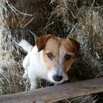 Shelley McRae - Facebook