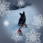 Shelley Olson - Facebook