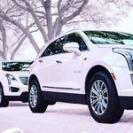 Shelley Olson ISSD Mary Kay - @shelleyolsonluvsmk - Instagram