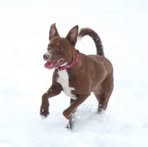 Shelley Page - Facebook